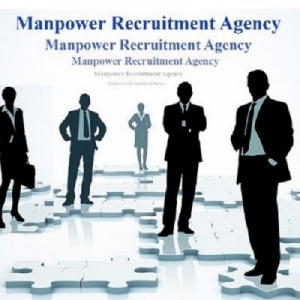 Service Provider of Manpower Recruitment Services Delhi Delhi 