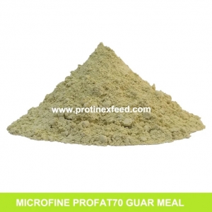 Microfine Guar Meal Manufacturer Supplier Wholesale Exporter Importer Buyer Trader Retailer in Barmer Rajasthan India