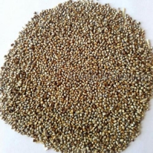 Manufacturers Exporters and Wholesale Suppliers of MILLET SEEDS KACHCHH Gujarat