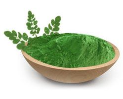 Moringa Oleifera  Powder