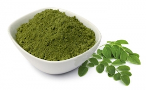 Manufacturers Exporters and Wholesale Suppliers of Moringa Powder Sunam Punjab