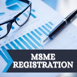 Service Provider of MSME Registration Delhi Delhi