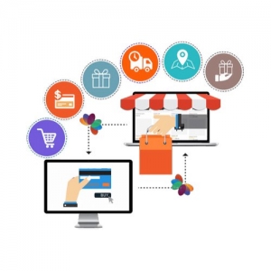Multi Vendor eCommerce Website Development Services in Delhi Delhi India