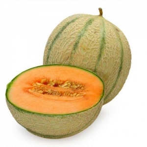 MUSKMELON Manufacturer Supplier Wholesale Exporter Importer Buyer Trader Retailer in DEESA Gujarat India