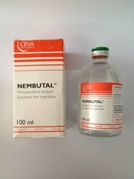 Nembutal Price