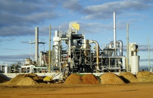 Oil Plants