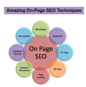 Service Provider of On Page SEO Delhi Delhi 