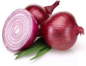 Onion Manufacturer Supplier Wholesale Exporter Importer Buyer Trader Retailer in Bangalore Karnataka India