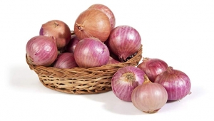 Onions Manufacturer Supplier Wholesale Exporter Importer Buyer Trader Retailer in Rourkela Orissa India