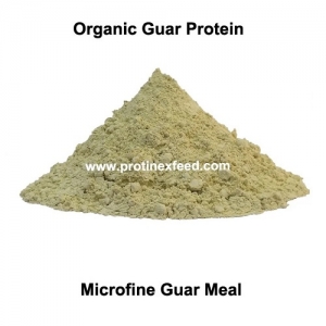 Organic Guar Protein