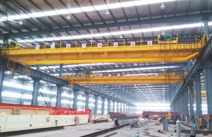Double Girder Overhead Crane Manufacturer Supplier Wholesale Exporter Importer Buyer Trader Retailer in Xinxiang  China