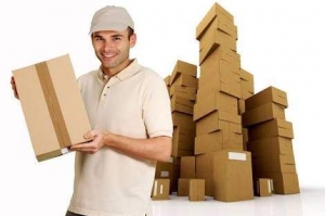 Packers Movers Services Services in Mahipalpur Delhi India
