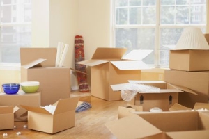 Service Provider of Packing Moving Near Balaji Complex Delhi 