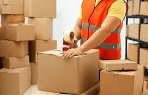 Packing service Services in New Delhi Delhi India