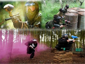 Manufacturers Exporters and Wholesale Suppliers of paint ball New Delhi Delhi