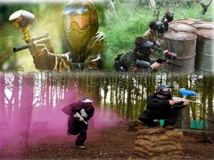 paint ball Manufacturer Supplier Wholesale Exporter Importer Buyer Trader Retailer in New Delhi Delhi India