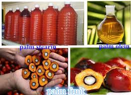 REFINED PALM OIL Manufacturer Supplier Wholesale Exporter Importer Buyer Trader Retailer in  Pondicherry United Kingdom