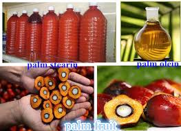 Refined Palm Oil