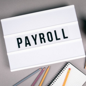Payroll Services in Delhi Delhi India
