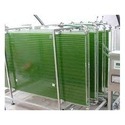 Manufacturers Exporters and Wholesale Suppliers of Photo Bioreactor Mohali Punjab