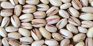 Pistachio Manufacturer Supplier Wholesale Exporter Importer Buyer Trader Retailer in isfahan  Iran (Islamic Republic of)