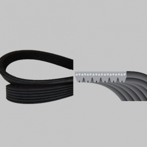 Poly Ribbed Belts Manufacturer Supplier Wholesale Exporter Importer Buyer Trader Retailer in  Madhya Pradesh India