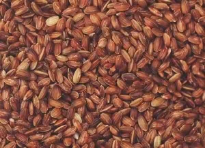 Manufacturers Exporters and Wholesale Suppliers of Himalayan Red rice Guwahati Assam