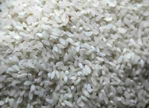 Aromatic Joha rice Manufacturer Supplier Wholesale Exporter Importer Buyer Trader Retailer in Guwahati Assam India
