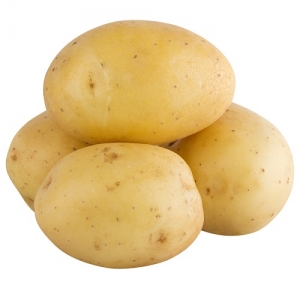 Manufacturers Exporters and Wholesale Suppliers of Potato Aligarh Uttar Pradesh