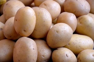 Manufacturers Exporters and Wholesale Suppliers of Potatoes Aligarh Uttar Pradesh