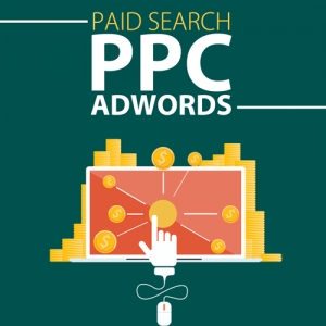 Service Provider of PPC Advertising Ludhiana Punjab 