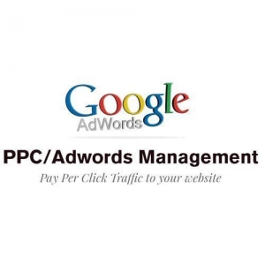 Service Provider of Google Adwords Company Ludhiana Punjab