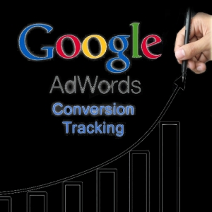 Service Provider of Google Adwords Ludhiana Punjab