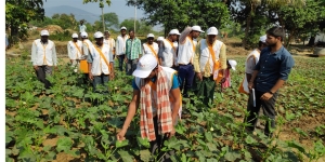 Manufacturers Exporters and Wholesale Suppliers of Agriculture Training Supaul Bihar