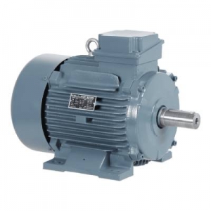 Premium Series Energy Efficient Motors Manufacturer Supplier Wholesale Exporter Importer Buyer Trader Retailer in madurai Tamil Nadu India