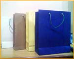 Printed Paper bags Manufacturer Supplier Wholesale Exporter Importer Buyer Trader Retailer in Valsad Gujarat India