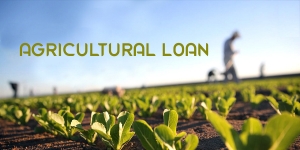 Manufacturers Exporters and Wholesale Suppliers of Loan For Agriculture Supaul Bihar