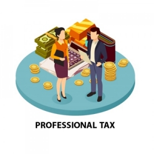 Professional Tax Compliances Services in Delhi Delhi India