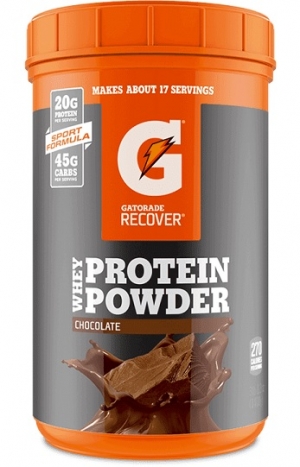 Manufacturers Exporters and Wholesale Suppliers of PROTEIN POWDER Surat Gujarat