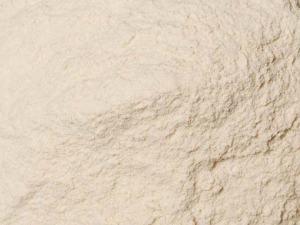Manufacturers Exporters and Wholesale Suppliers of Psyllium Husk Powder Palanpur Gujarat