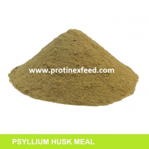 Psyllium Husk Meal