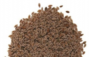 Psyllium Seeds