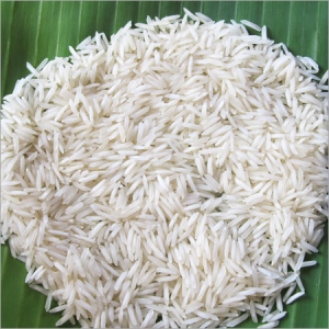 Manufacturers Exporters and Wholesale Suppliers of Pusa Raw Ghaziabad Uttar Pradesh Pusa Raw