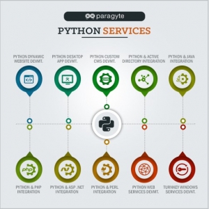 Service Provider of Python Website Development Delhi Delhi 
