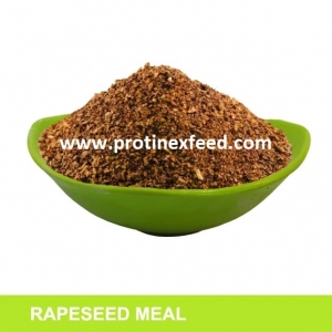 Rapeseed Meal Manufacturer Supplier Wholesale Exporter Importer Buyer Trader Retailer in Barmer Rajasthan India