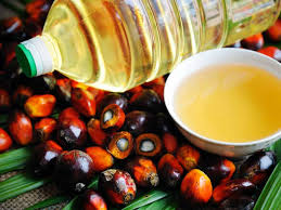 Rbd Palm Olein Oil