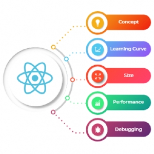 ReactJs Website Development Services in Delhi Delhi India