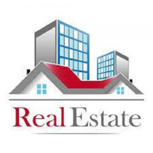 Service Provider of Real Estate Portal Development Delhi Delhi 