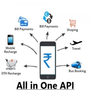 Recharge API Services in Delhi Delhi India