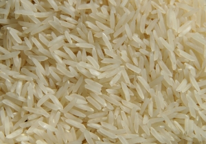 Manufacturers Exporters and Wholesale Suppliers of Rice Aligarh Uttar Pradesh